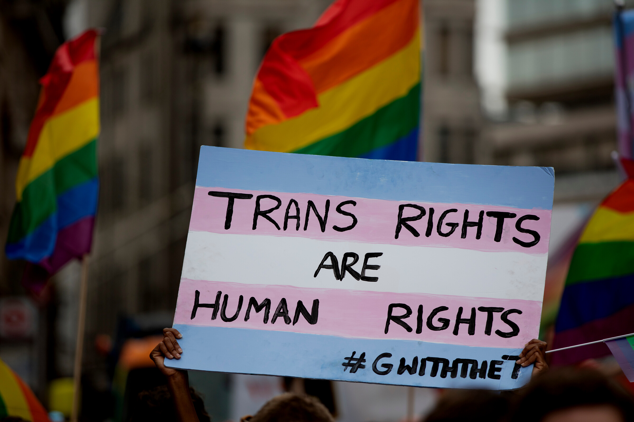 Trans Rights Placard in a Protest 